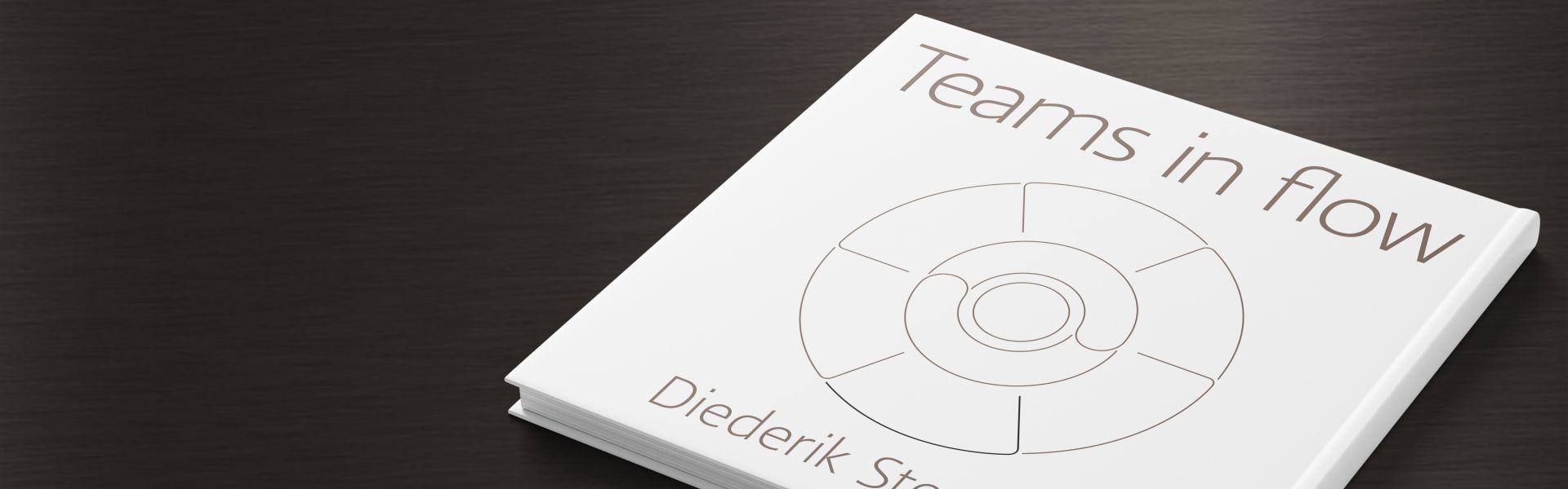 Teams in flow: negen elementen van topteams